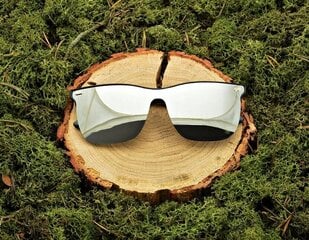 Мужские серебристые солнцезащитные очки с ультрафиолетовым покрытием STR-1597B цена и информация | Женские солнцезащитные очки | pigu.lt