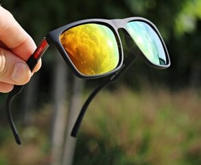 Солнцезащитные очки MENSIONAL POLARISATIVE SUNGLASSES FISHES от ESTILLO + GRANTS цена и информация | Солнцезащитные очки для мужчин | pigu.lt