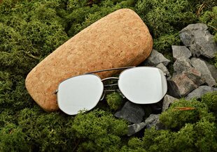 Очки PILOTS AVIATOR LUXE GLASSES Мужские солнцезащитные очки Женские очки + грациозность цена и информация | Солнцезащитные очки для мужчин | pigu.lt