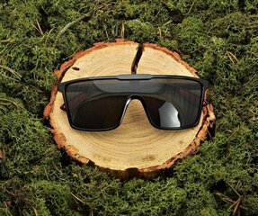 Мужские солнцезащитные очки PILOT SUNGLASSES черного цвета STR-1645 цена и информация | Женские солнцезащитные очки | pigu.lt