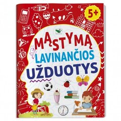 Mąstymą lavinančios užduotys kaina ir informacija | Lavinamosios knygos | pigu.lt