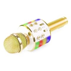 Vaikiškas karaoke mikrofonas su garsiakalbiu RoGer, WS-858L цена и информация | Развивающие игрушки | pigu.lt