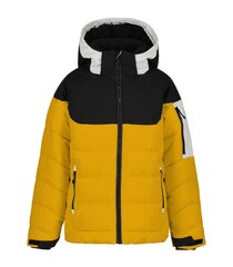 Детская куртка Icepeak Latta 200 г 50063-4*437 6438549471014, желтая/черная цена и информация | Куртка для мальчика | pigu.lt