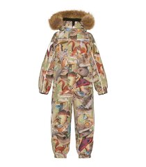 Детский зимний комбинезон Molo Polaris 180 г 5W23N204*6853 5715084376334, зелёный/коричневый  цена и информация | Куртка для мальчика | pigu.lt