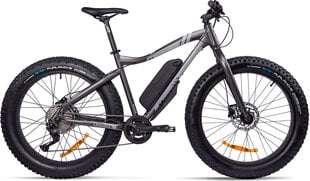 Электровелосипед GZR Rough-e Fatbike 19", серый цвет цена и информация | Электровелосипеды | pigu.lt