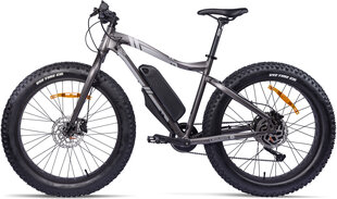 Elektrinis dviratis GZR Rough-e Fatbike 19", pilkas kaina ir informacija | Elektriniai dviračiai | pigu.lt