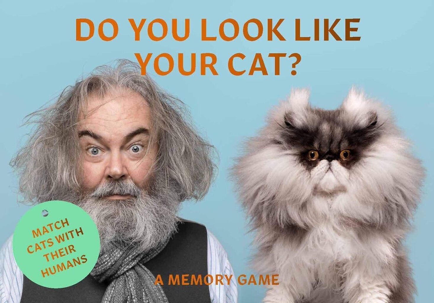 Atminties žaidimas Do You Look Like Your Cat? Laurence King Publishing kaina ir informacija | Stalo žaidimai, galvosūkiai | pigu.lt