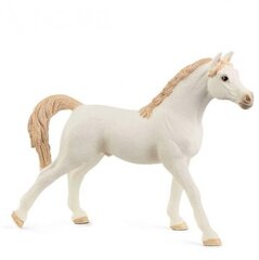 Schleich - Arabian Stallion White цена и информация | Игрушки для мальчиков | pigu.lt