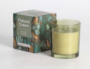Ароматическая свеча в стакане NATURE GREEN H9,5 см, Tranquil Summer цена и информация | Подсвечники, свечи | pigu.lt