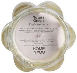 Ароматическая свеча в стакане NATURE GREEN H9,2 см, Fresh Aromatic цена и информация | Подсвечники, свечи | pigu.lt