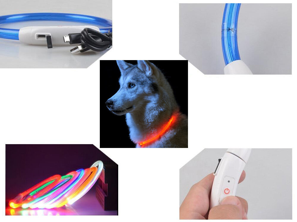 LED antkaklis šunims, mėlynas kaina ir informacija | Antkakliai, petnešos šunims | pigu.lt