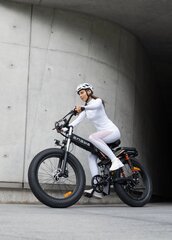 Elektrinis dviratis Engine Pro 24", pilkas kaina ir informacija | Elektriniai dviračiai | pigu.lt