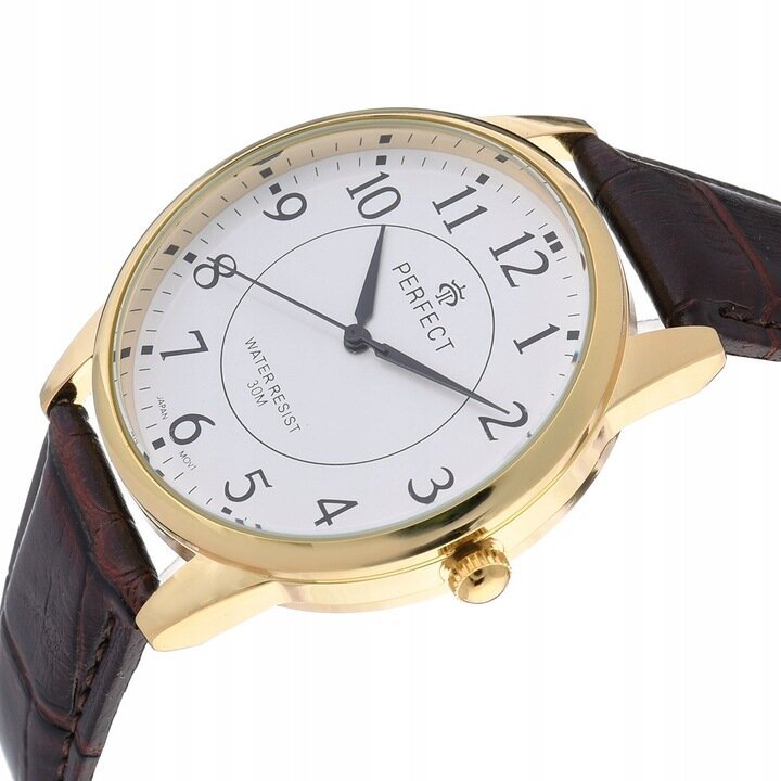 Laikrodis vyrams Perfect C426F kaina ir informacija | Vyriški laikrodžiai | pigu.lt