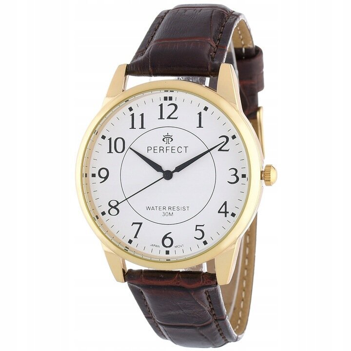 Laikrodis vyrams Perfect C426F kaina ir informacija | Vyriški laikrodžiai | pigu.lt