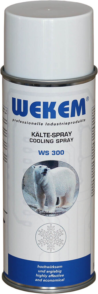 Wekem WS 300 Aušinimo purškiklis 400ml kaina ir informacija | Autochemija | pigu.lt