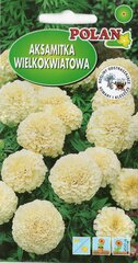 Бархатцы крупноцветковые, белые цена и информация | Семена цветов | pigu.lt
