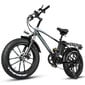 Elektrinis dviratis Cmacewheel T20, 20", pilkas kaina ir informacija | Elektriniai dviračiai | pigu.lt