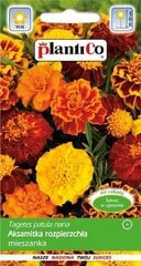 Бархатцы MIX цена и информация | Семена цветов | pigu.lt