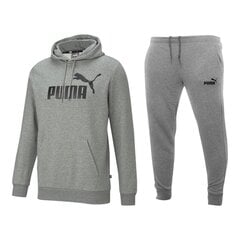 Puma sportinis kostiumas vyrams 84672, pilkas цена и информация | Мужская спортивная одежда | pigu.lt