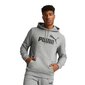 Puma sportinis kostiumas vyrams 84672, pilkas kaina ir informacija | Sportinė apranga vyrams | pigu.lt