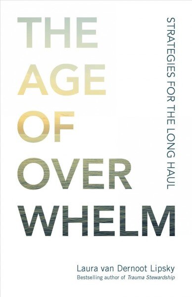 Age of Overwhelm: Strategies for the Long Haul цена и информация | Saviugdos knygos | pigu.lt