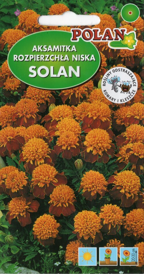 Gvazdikinis serentis Solan kaina ir informacija | Gėlių sėklos | pigu.lt