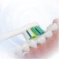 Sencor SOC 4200BL цена и информация | Elektriniai dantų šepetėliai | pigu.lt