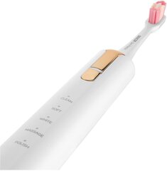 Sencor SOC 4103GD цена и информация | Электрические зубные щетки | pigu.lt