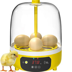 Inkubatorius 4 kiaušiniams kaina ir informacija | Lavinamieji žaislai | pigu.lt