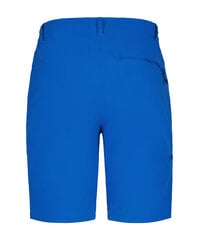 Шорты мужские Icepeak BERWYN, синий цвет цена и информация | Мужские шорты | pigu.lt