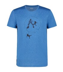 Icepeak vyriški marškinėliai BEARDEN, mėlyni kaina ir informacija | Vyriški marškinėliai | pigu.lt