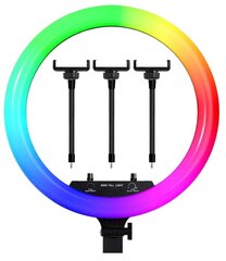 Žiedinė lempa MJ36 RGB цена и информация | Осветительное оборудование для фотосъемок | pigu.lt