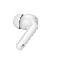 Riversong Bluetooth earphones AirFly L8 TWS white EA226 цена и информация | Наушники | pigu.lt