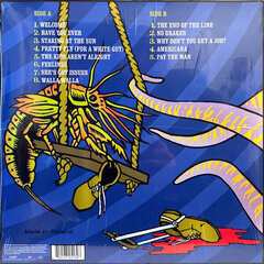 Виниловая пластинка The Offspring - Americana, LP, 12" vinyl record цена и информация | Виниловые пластинки, CD, DVD | pigu.lt