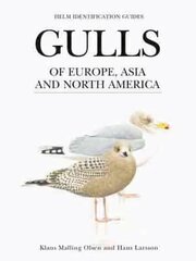 Gulls of Europe, Asia and North America kaina ir informacija | Knygos apie sveiką gyvenseną ir mitybą | pigu.lt