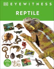 Reptile цена и информация | Книги для подростков  | pigu.lt
