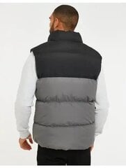 Liemenė vyrams Threadbare TBMD06062, pilka цена и информация | Мужские жилетки | pigu.lt