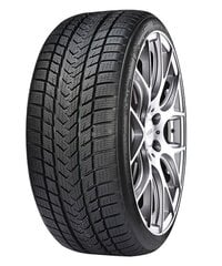 GRIPMAX Suregrip Pro Winter 285/40R23 111V XL цена и информация | Зимняя резина | pigu.lt