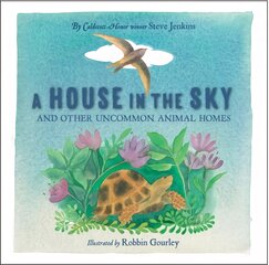 House in the Sky цена и информация | Книги для малышей | pigu.lt