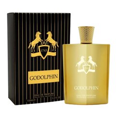 Kvapusis vanduo Fragrance World Godolphin EDP vyrams, 100 ml цена и информация | Мужские духи | pigu.lt