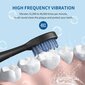 Elektrinis dantų šepetėlis su 3D DuPont šepetėlio galvutėmis LIVMAN 101 kaina ir informacija | Elektriniai dantų šepetėliai | pigu.lt