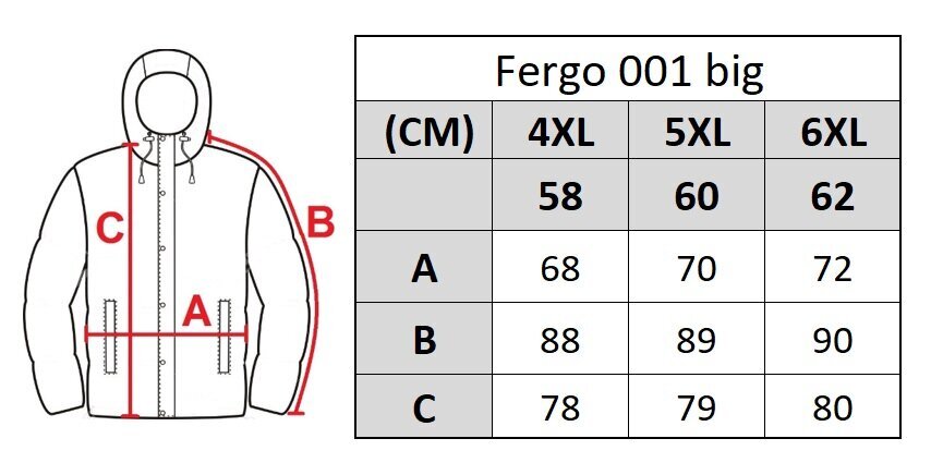 Striukė vyrams Fergo 003, mėlyna цена и информация | Vyriškos striukės | pigu.lt