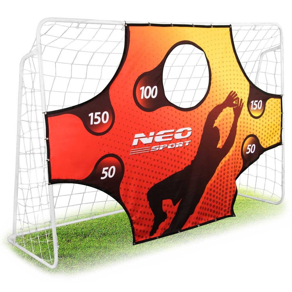 Futbolo vartai Neo-Sport, 245 x 155 x 80 cm kaina ir informacija | Futbolo vartai ir tinklai | pigu.lt