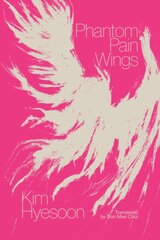 Phantom Pain Wings цена и информация | Исторические книги | pigu.lt