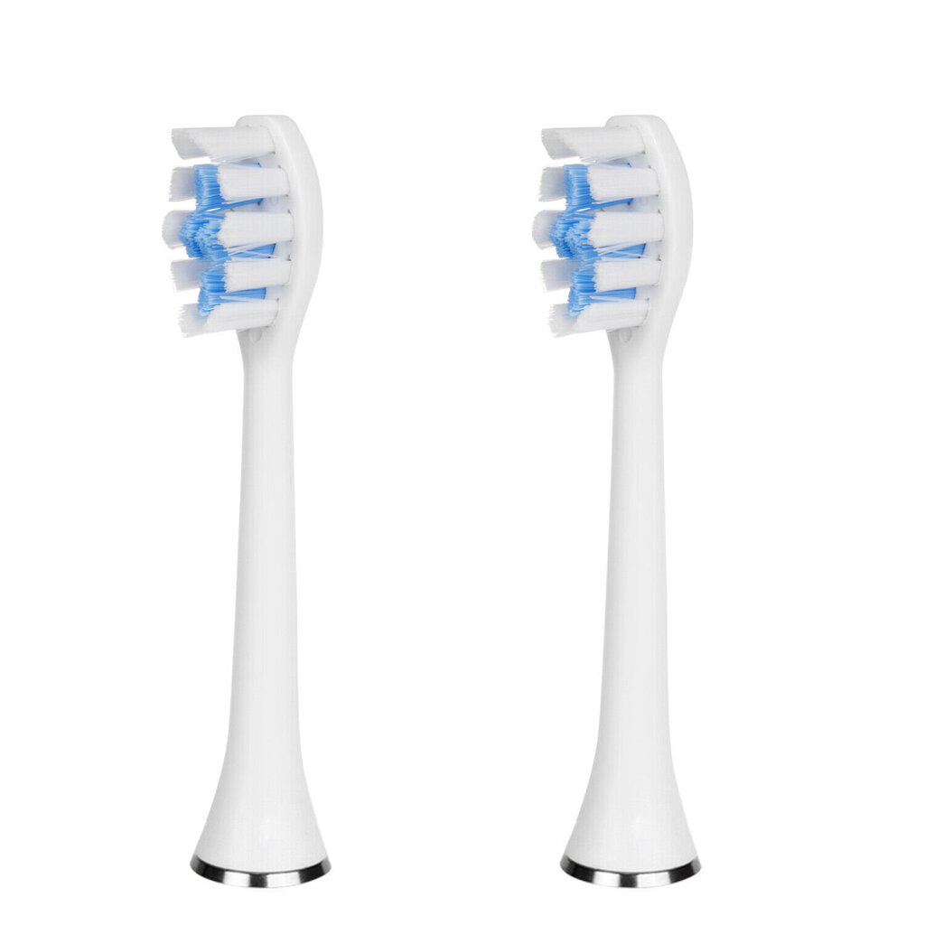 Elektrinis dantų šepetėlis su indukciniu įkrovimu ir 2 vnt 3d DuPont dantų šepetėlio galvutėmis LIVMAN FL-A21 kaina ir informacija | Elektriniai dantų šepetėliai | pigu.lt