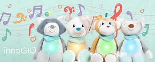 Интерактивная плюшевая игрушка InnoGIO Giofriends Mateo цена и информация | Игрушки для малышей | pigu.lt