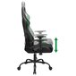 Žaidimų kėdė Subsonic Pro Harry Potter Slytherin, juoda/žalia kaina ir informacija | Biuro kėdės | pigu.lt