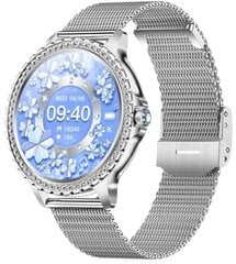 Zaxer ZI58 Silver Mesh цена и информация | Смарт-часы (smartwatch) | pigu.lt