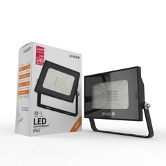 LED lauko prožektorius Avide, 20W, 1600lm kaina ir informacija | Lauko šviestuvai | pigu.lt