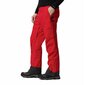 Slidinėjimo kelnės vyrams Columbia WO0979-613, raudonos цена и информация | Vyriškа slidinėjimo apranga | pigu.lt